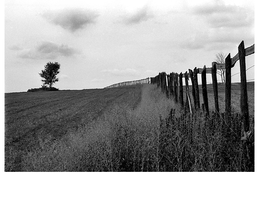 Ungarn 1982 Foto: Sandor Farkas